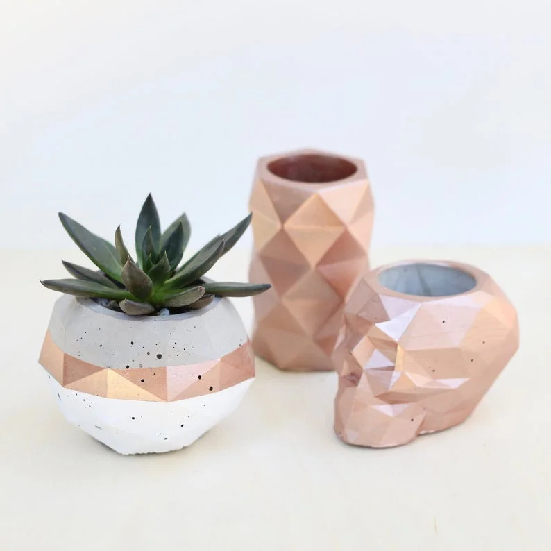 succulent pots with drainage