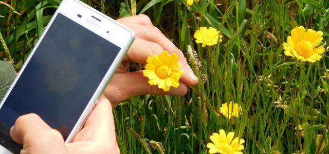 best plant identification app