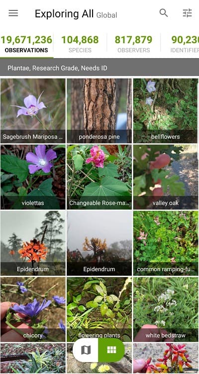 inaturalist plant identification app1