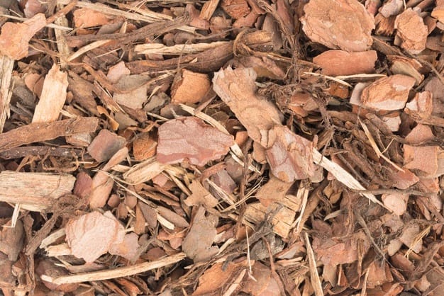 pine bark as mulch