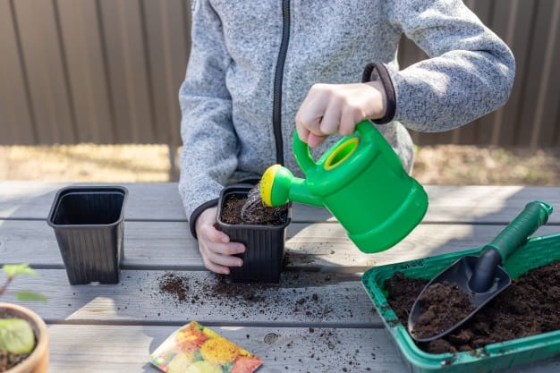 well draining soil for succulents