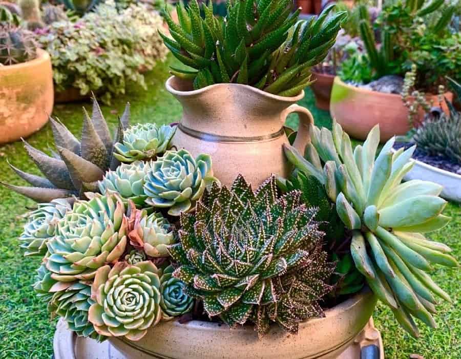 fruit bowl succulent tower