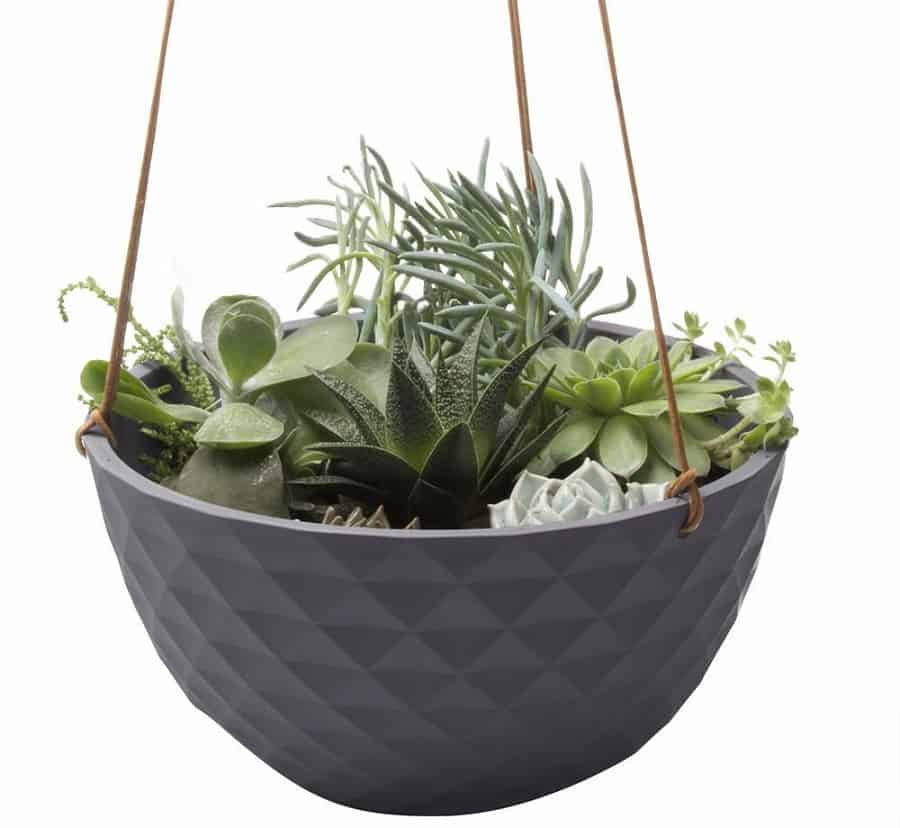 hanging succulent bowl 1