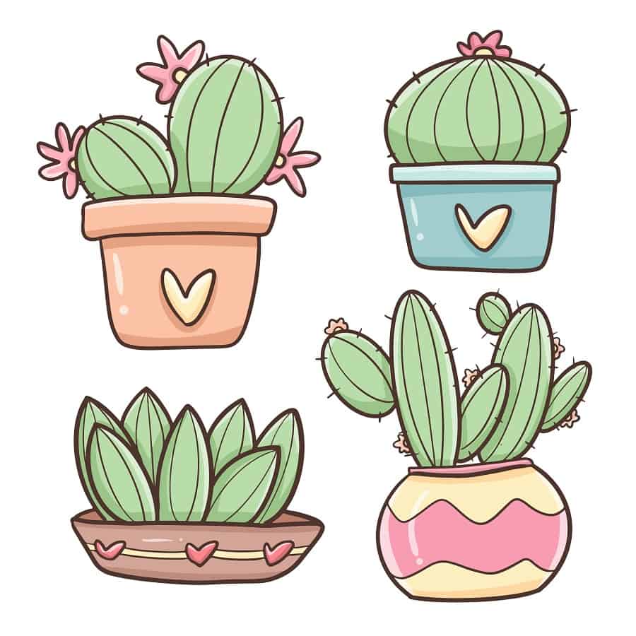 potted succulent drawing