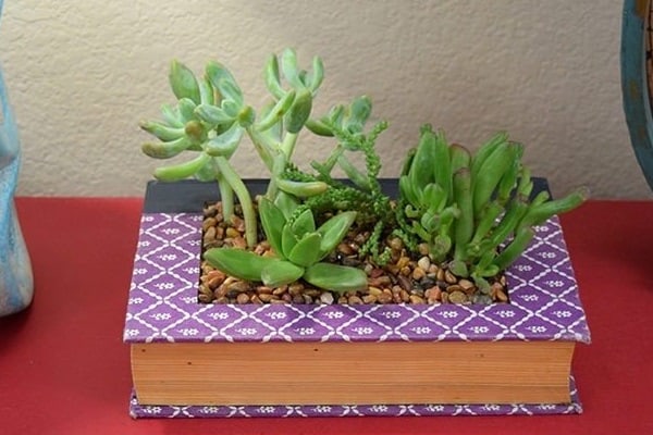 book succulent planter 1