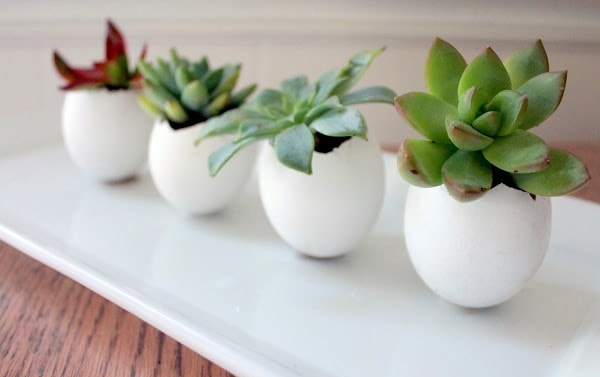 easter egg planters