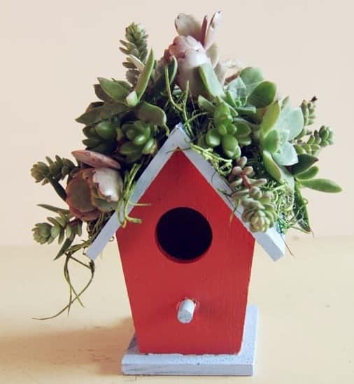 succulent birdhouse wreath