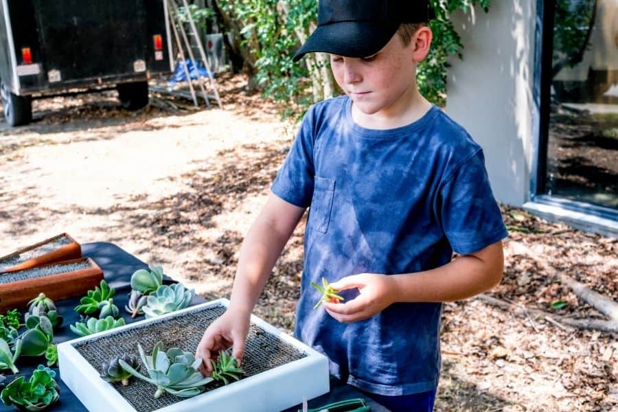 kid working on succulent garden