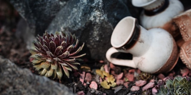 old crockery rock garden