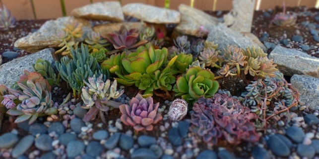 stacked rocks rock garden