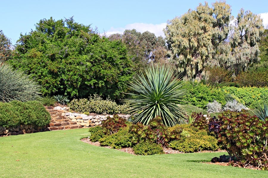 gardening in australia