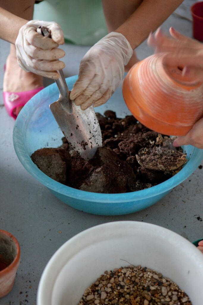 can i mix cactus soil with potting soil