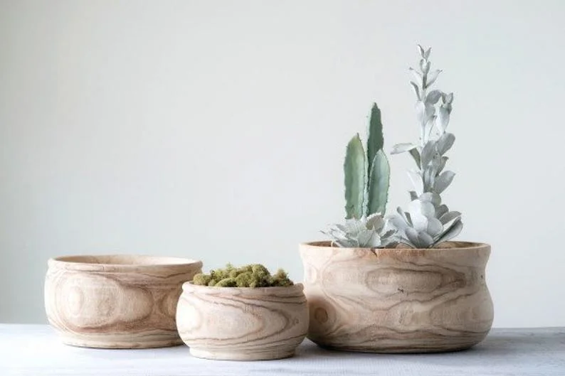 best succulent pots