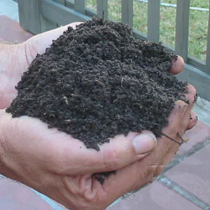 worm castings as fertilizer for succulents