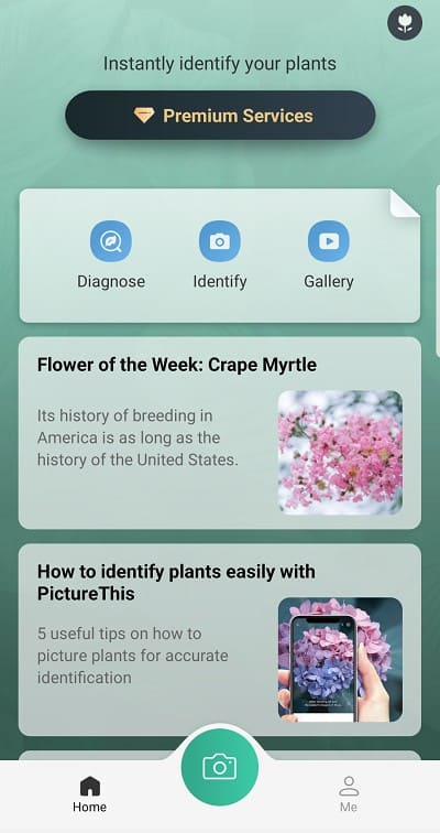 picturethis plant identification app