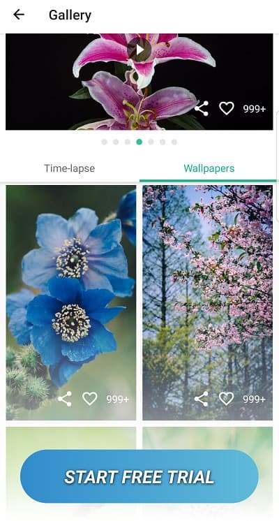 picturethis plant identification app2