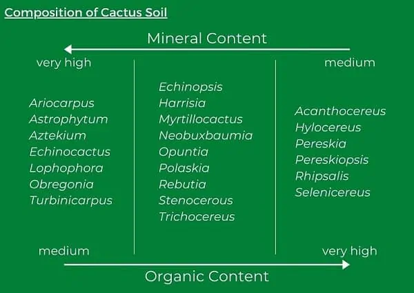 what soil to use for cactus