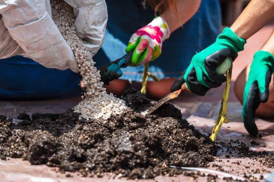 how to make succulent soil