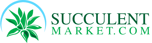 succulentmarket logo