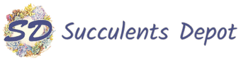 succulentsdepot logo