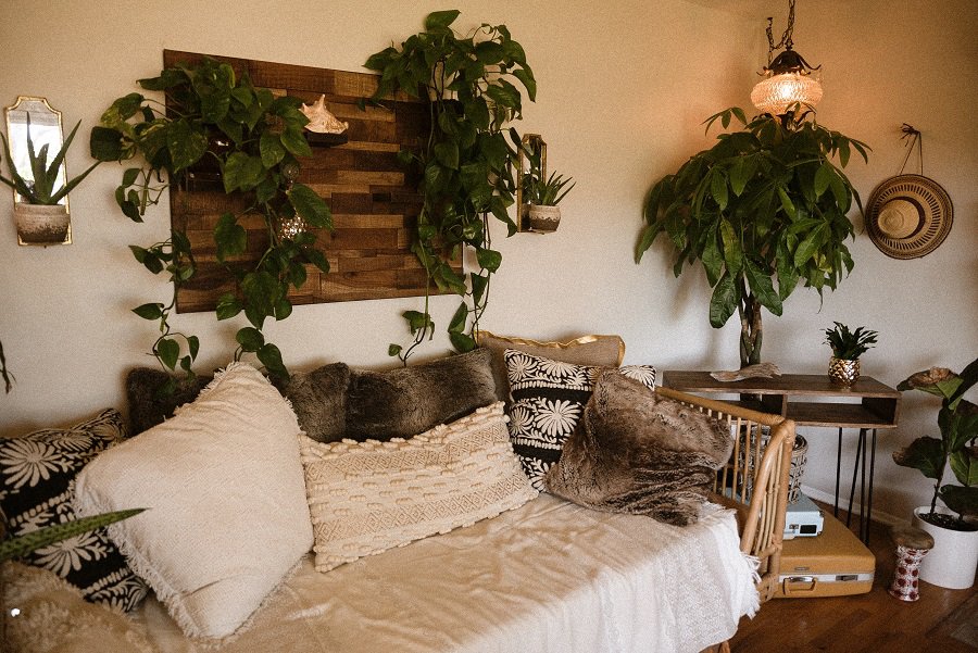 decorate living room wall with plants