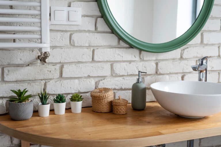 growing succulents in bathroom – what you need to know