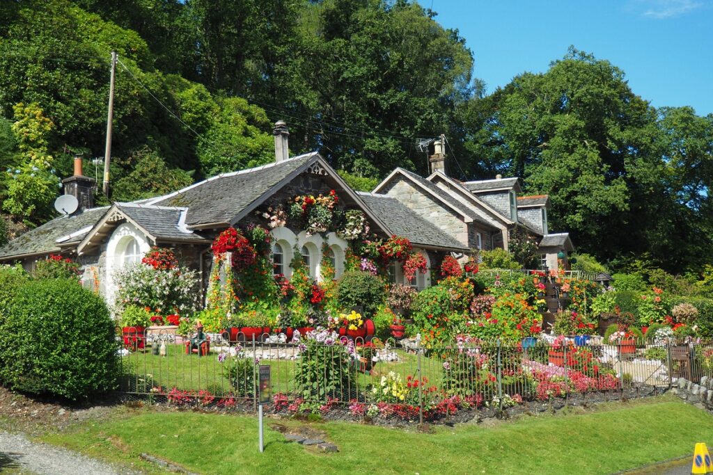 autumn gardening