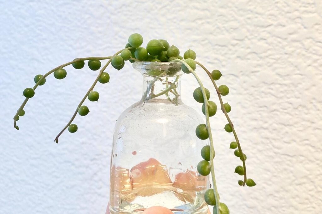 propagating string of pearls in water