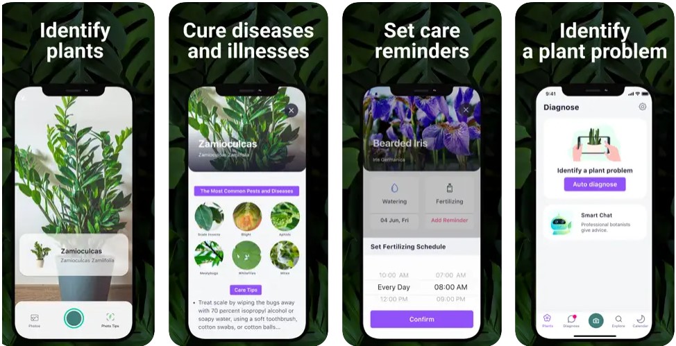 7 Best Plant Identification Apps [2024 Edition] | Succulent Alley