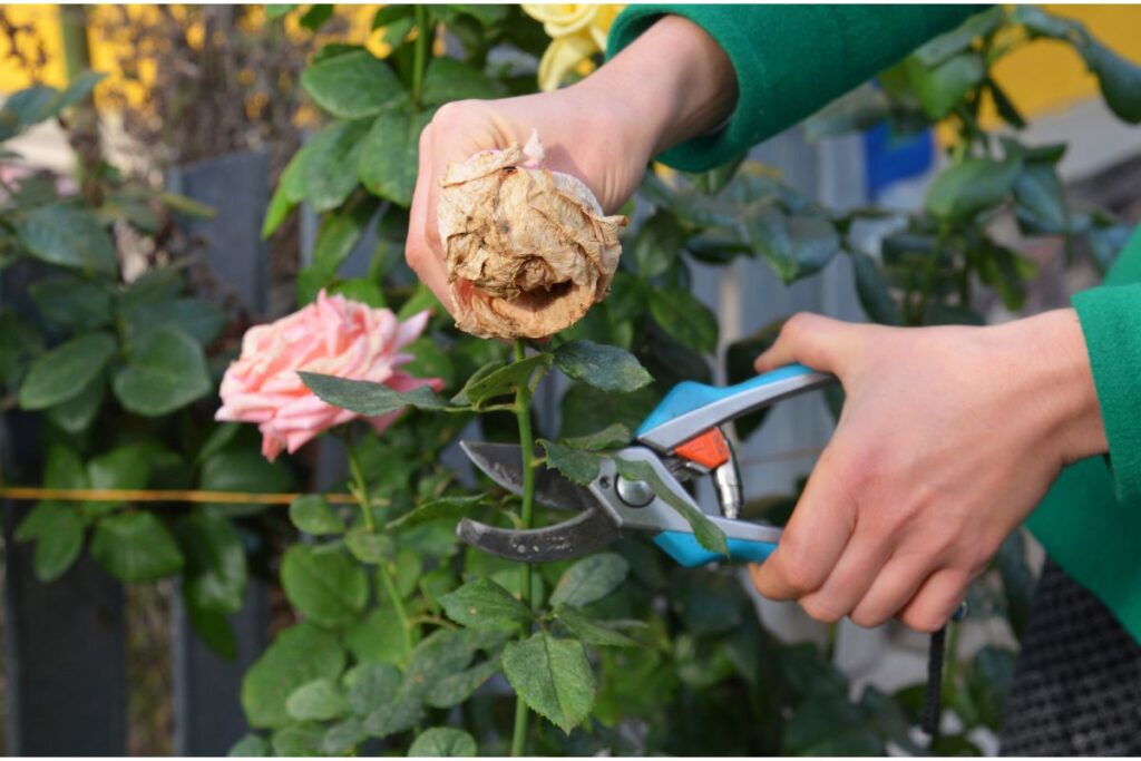 keeping garden tools safe