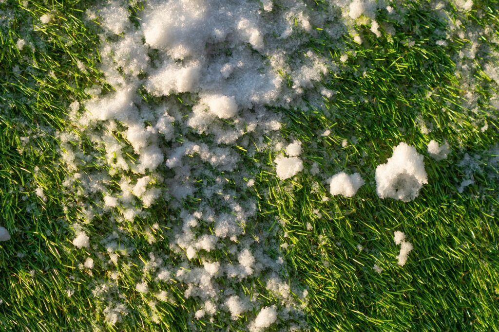 how to remove snow from your artificial turf