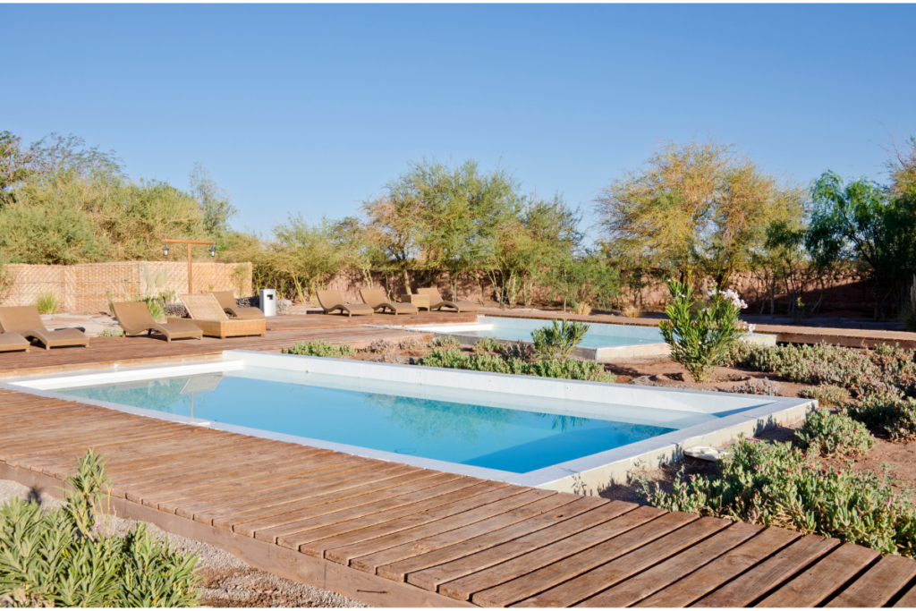 swimming pool landscaping with succulents and cacti