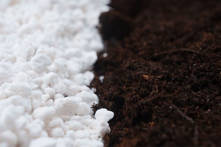 the right amount of perlite for your potting soil