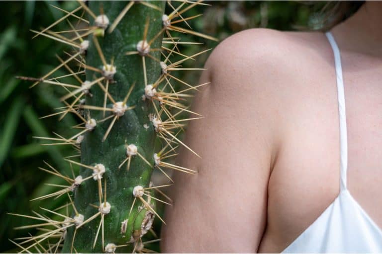 how to remove cactus needles embedded in skin