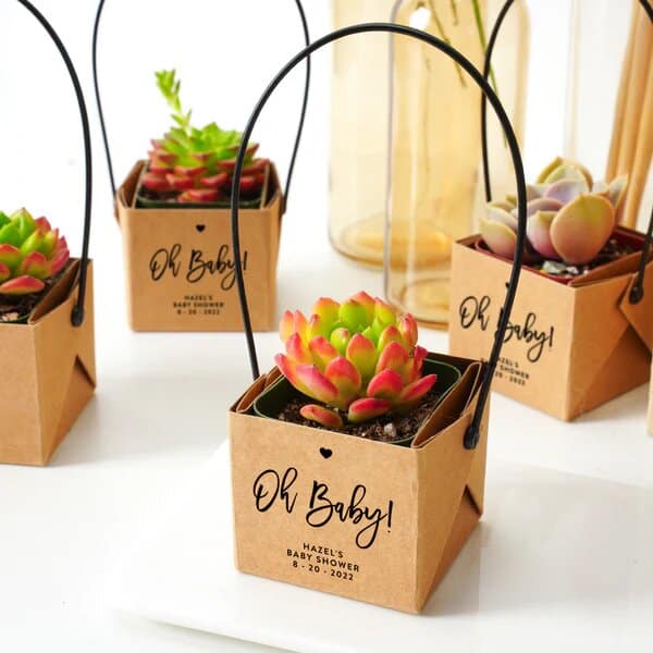 kraft paper succulent favors