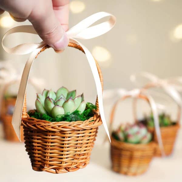 nature mini baskets handles