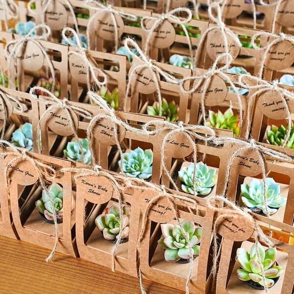 succulent wedding favors kraft