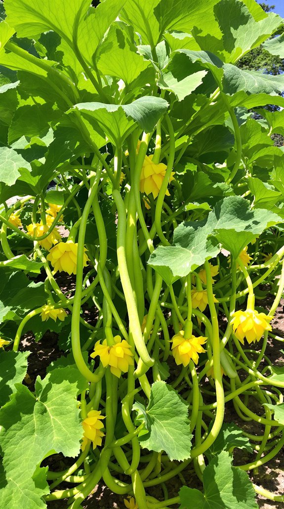 fresh versatile summer vegetables