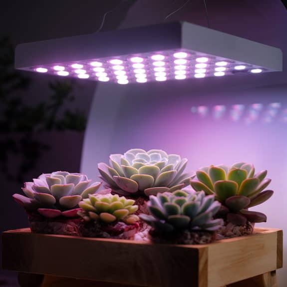 lighting options for indoor cultivation