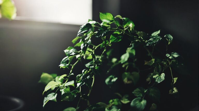 resilient indoor plants thrive in darkness