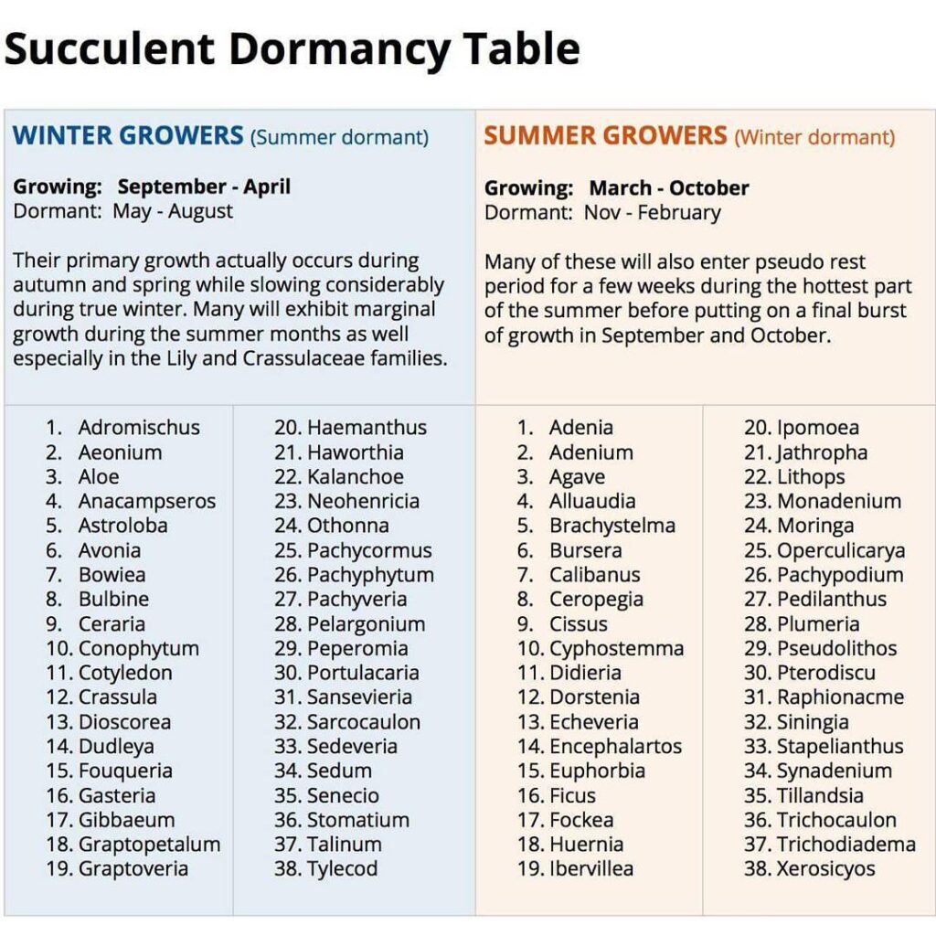 succulent dormancy table