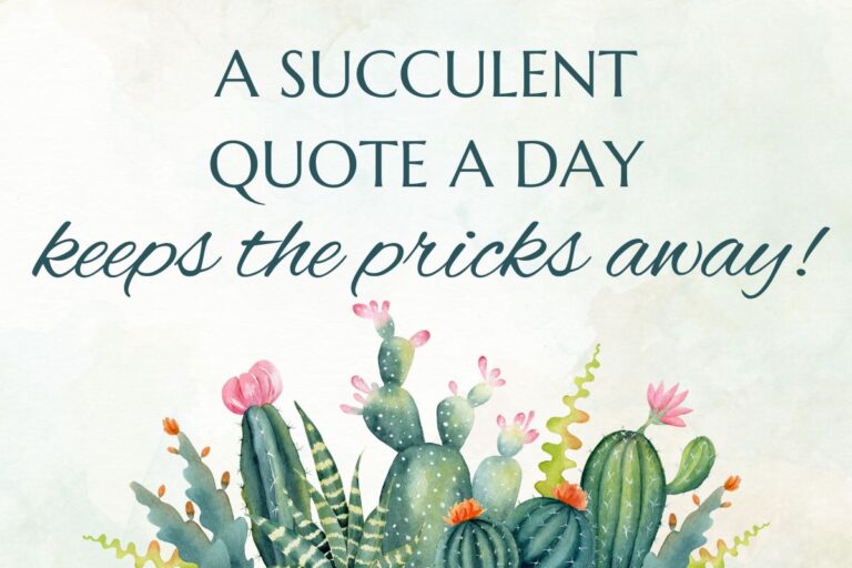 a juicy collection of succulent quotes and wordplay