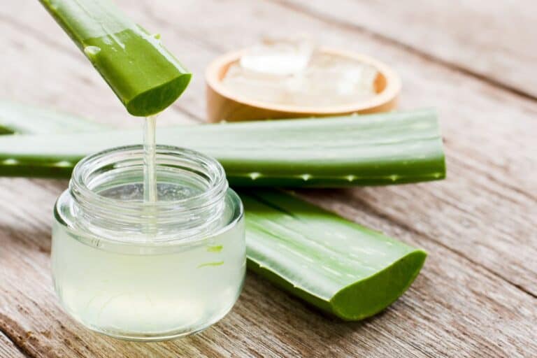 Many Ways To Use Aloe Vera Gel and How to Store Them